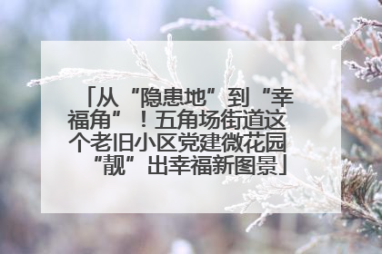 从“隐患地”到“幸福角”！五角场街道这个老旧小区党建微花园“靓”出幸福新图景