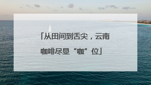 从田间到舌尖，云南咖啡尽显“咖”位