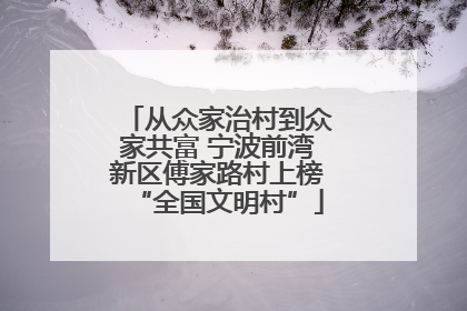 从众家治村到众家共富 宁波前湾新区傅家路村上榜“全国文明村”