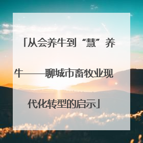 从会养牛到“慧”养牛——聊城市畜牧业现代化转型的启示
