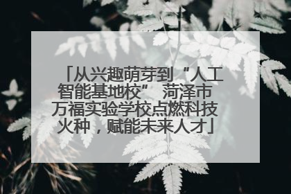 从兴趣萌芽到“人工智能基地校” 菏泽市万福实验学校点燃科技火种，赋能未来人才