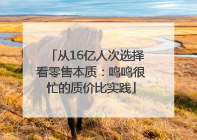 从16亿人次选择看零售本质：鸣鸣很忙的质价比实践