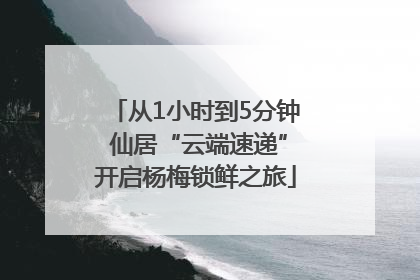 从1小时到5分钟 仙居“云端速递”开启杨梅锁鲜之旅