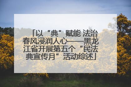 以“典”赋能 法治春风浸润人心——黑龙江省开展第五个“民法典宣传月”活动综述