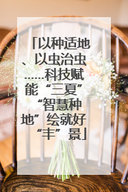 以种适地、以虫治虫……科技赋能“三夏” “智慧种地”绘就好“丰”景