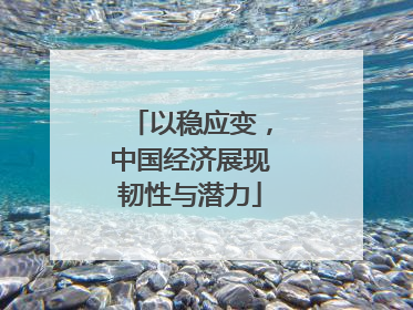 以稳应变，中国经济展现韧性与潜力