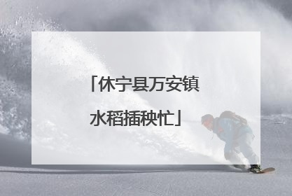 休宁县万安镇水稻插秧忙
