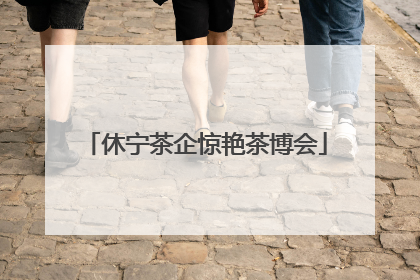 休宁茶企惊艳茶博会