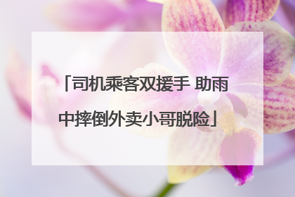 司机乘客双援手 助雨中摔倒外卖小哥脱险
