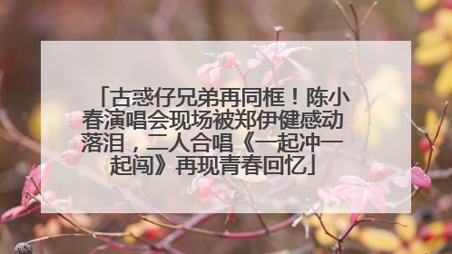 古惑仔兄弟再同框！陈小春演唱会现场被郑伊健感动落泪，二人合唱《一起冲一起闯》再现青春回忆