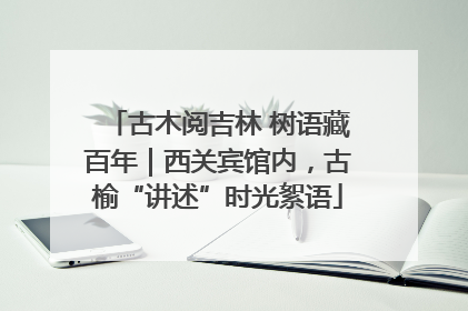 古木阅吉林 树语藏百年｜西关宾馆内，古榆“讲述”时光絮语