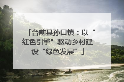 台前县孙口镇：以“红色引擎”驱动乡村建设“绿色发展”
