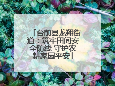 台前县龙翔街道：筑牢田间安全防线 守护农耕家园平安