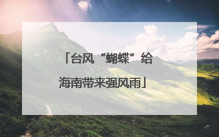 台风“蝴蝶”给海南带来强风雨