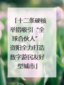 十二条硬核举措吸引“全球合伙人” 资阳全力打造数字游民友好型城市