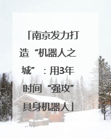 南京发力打造“机器人之城”：用3年时间“强攻”具身机器人