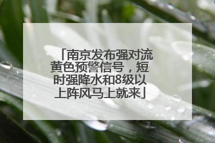 南京发布强对流黄色预警信号，短时强降水和8级以上阵风马上就来