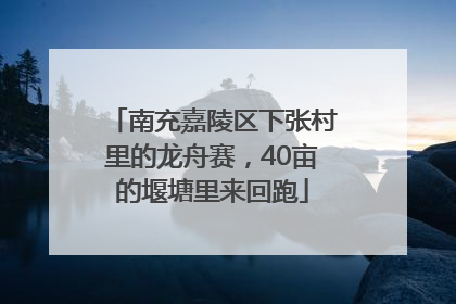 南充嘉陵区下张村里的龙舟赛，40亩的堰塘里来回跑