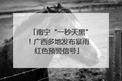 南宁“一秒天黑”！广西多地发布暴雨红色预警信号