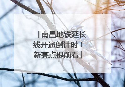 南昌地铁延长线开通倒计时！新亮点提前看