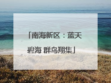 南海新区：蓝天碧海 群鸟翔集