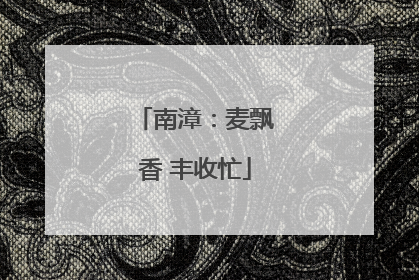 南漳：麦飘香 丰收忙