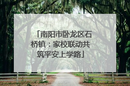 南阳市卧龙区石桥镇：家校联动共筑平安上学路
