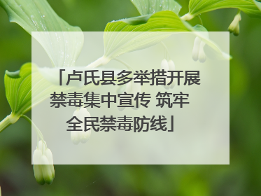 卢氏县多举措开展禁毒集中宣传 筑牢全民禁毒防线