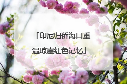 印尼归侨海口重温琼崖红色记忆
