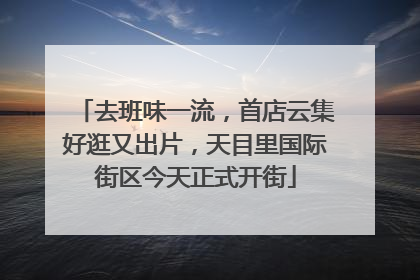 去班味一流，首店云集好逛又出片，天目里国际街区今天正式开街
