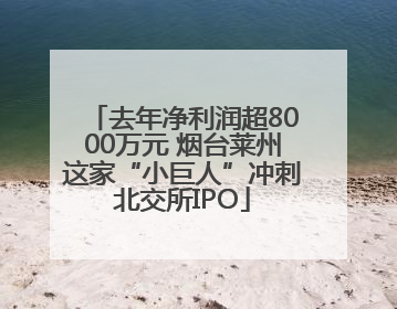 去年净利润超8000万元 烟台莱州这家“小巨人”冲刺北交所IPO