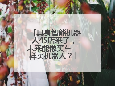 具身智能机器人4S店来了，未来能像买车一样买机器人？