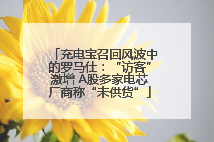 充电宝召回风波中的罗马仕：“访客”激增 A股多家电芯厂商称“未供货”