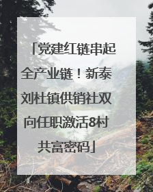 党建红链串起全产业链！新泰刘杜镇供销社双向任职激活8村共富密码