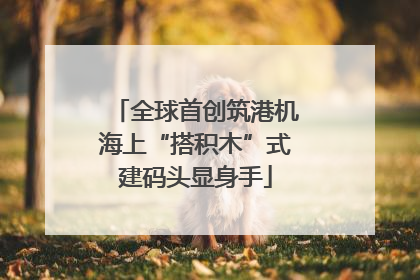 全球首创筑港机海上“搭积木”式建码头显身手