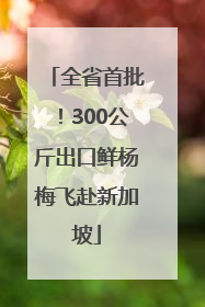 全省首批！300公斤出口鲜杨梅飞赴新加坡