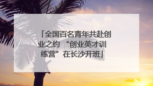 全国百名青年共赴创业之约 “创业英才训练营”在长沙开班