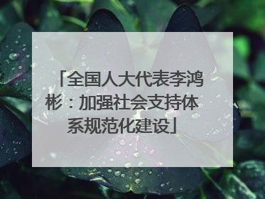 全国人大代表李鸿彬：加强社会支持体系规范化建设
