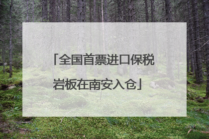 全国首票进口保税岩板在南安入仓