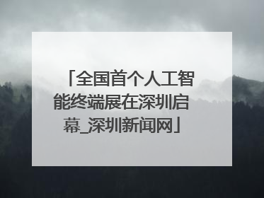 全国首个人工智能终端展在深圳启幕_深圳新闻网