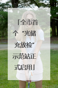 全市首个“光储充放检”示范站正式启用