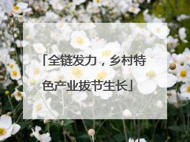 全链发力，乡村特色产业拔节生长