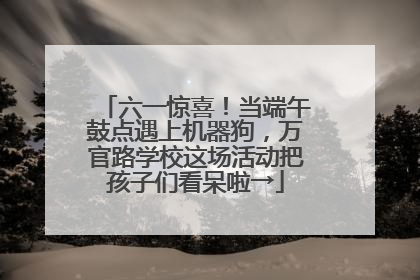 六一惊喜！当端午鼓点遇上机器狗，万官路学校这场活动把孩子们看呆啦→