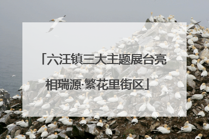 六汪镇三大主题展台亮相瑞源·繁花里街区