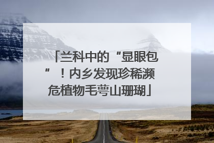 兰科中的“显眼包”！内乡发现珍稀濒危植物毛萼山珊瑚