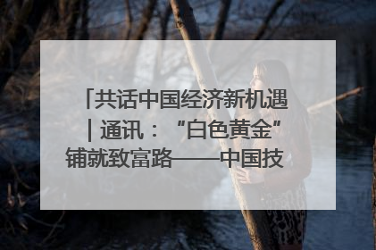 共话中国经济新机遇｜通讯：“白色黄金”铺就致富路——中国技术助力科特迪瓦橡胶产业增产增效