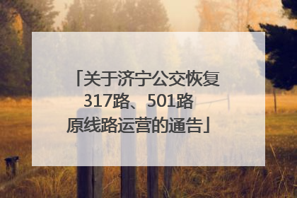 关于济宁公交恢复317路、501路原线路运营的通告