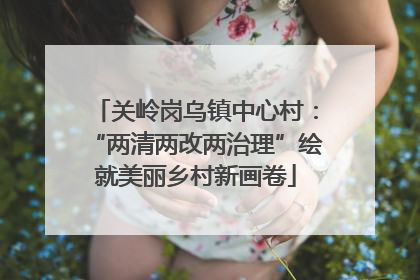 关岭岗乌镇中心村：“两清两改两治理”绘就美丽乡村新画卷
