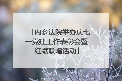 内乡法院举办庆七一党建工作表彰会暨红歌联唱活动