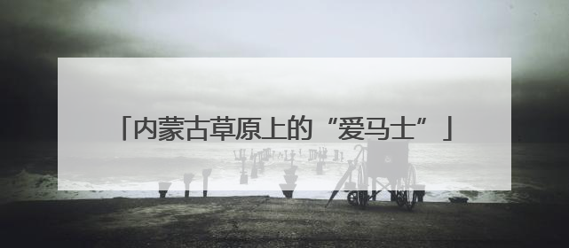 内蒙古草原上的“爱马士”
